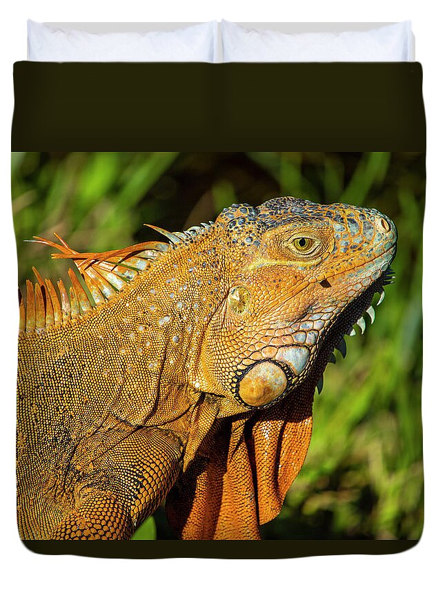 Iguana Duvet Cover featuring the photograph Orange Iguana by Blair Damson