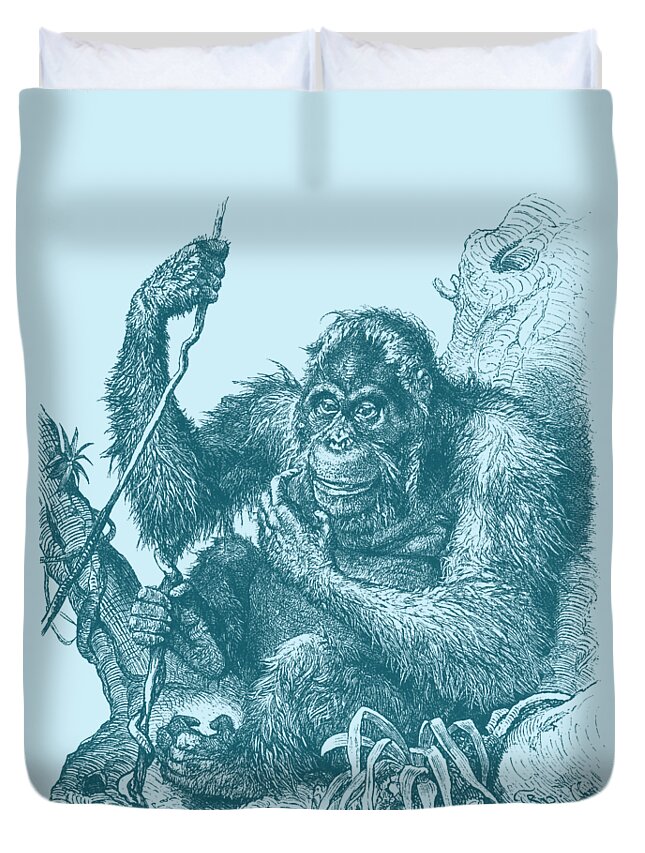 Orangutans Duvet Covers