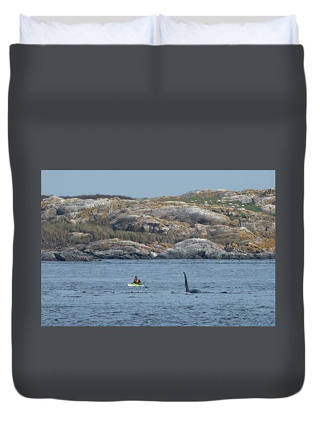 Whale Duvet Cover featuring the photograph Orca and Kayak Comparison by Bill Cubitt