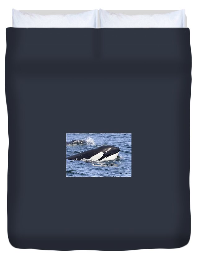  Duvet Cover featuring the photograph Orca Monterey by Loriannah Hespe