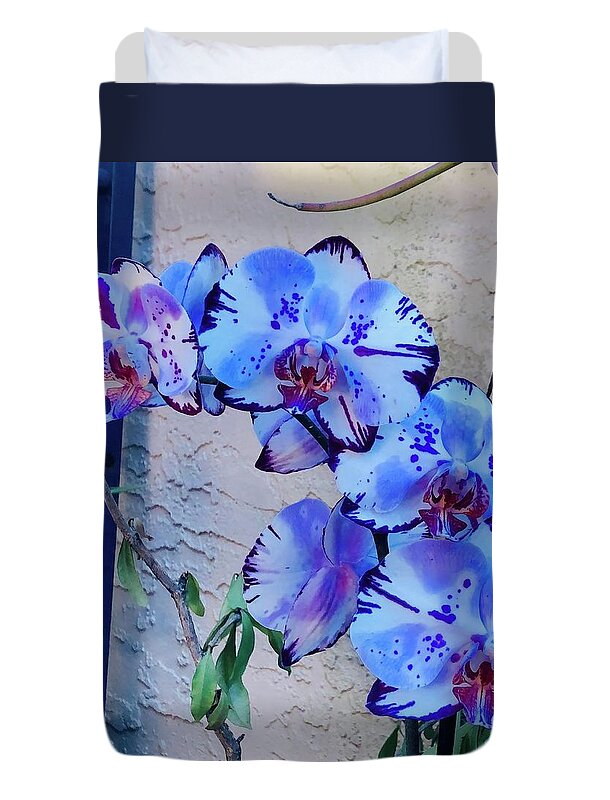 Orchids St Augustine John Anderson Duvet Cover featuring the photograph Orchids 1 by John Anderson