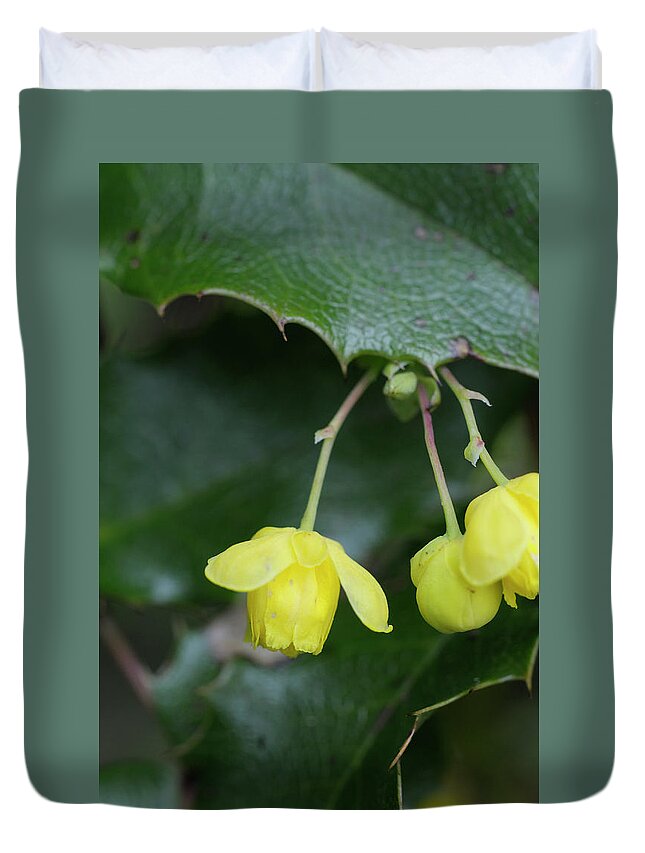 Flowers Duvet Cover featuring the photograph Oregon Grape Mahonia aquifolium, Cowichan Valley, Vancouver Island, British Columbia by Kevin Oke