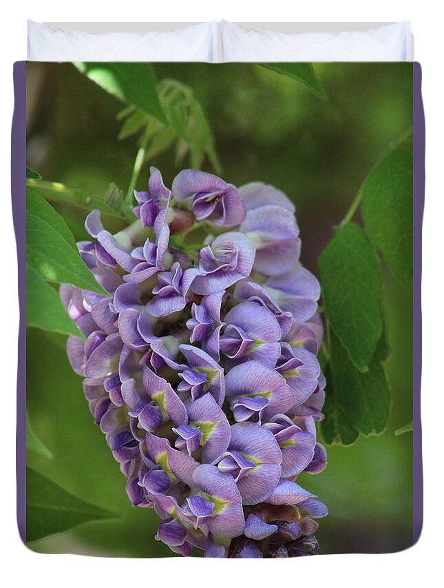 Wisteria Duvet Cover featuring the photograph Ornate Wisteria Petals by Maxine Billings