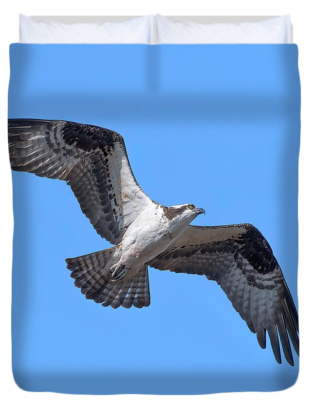 Nature Duvet Cover featuring the photograph Osprey in Flight DRB0282 by Gerry Gantt