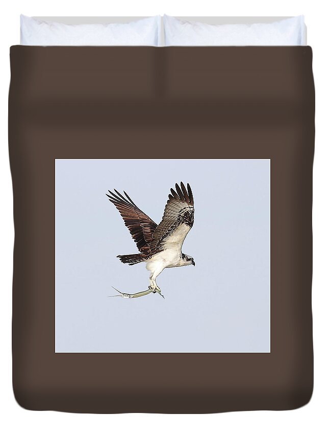 Osprey Duvet Cover featuring the photograph Osprey with a Needle Fish 3 by Mingming Jiang