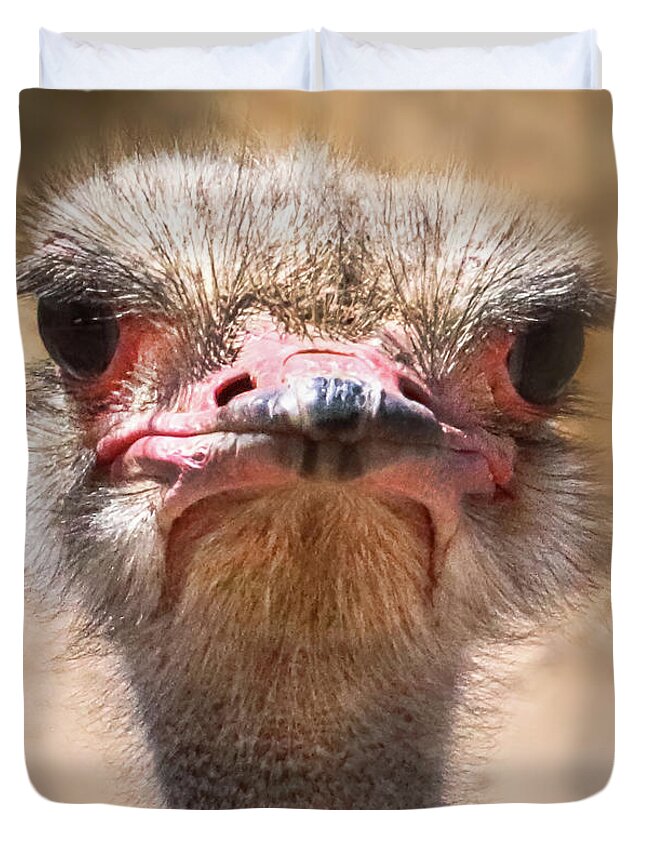 Ostrich Duvet Cover featuring the photograph Ostrich Staredown by Laura Putman