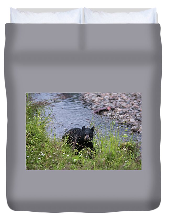Black Bear Duvet Cover featuring the photograph Out of the creek by David Kirby