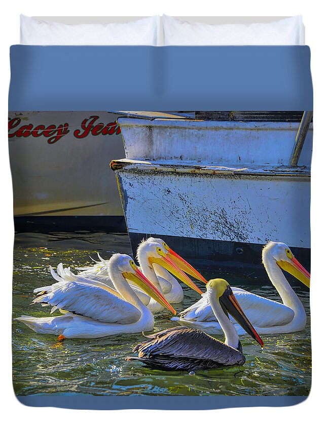White Pelicans Duvet Cover featuring the photograph Out Shopping by Alison Belsan Horton