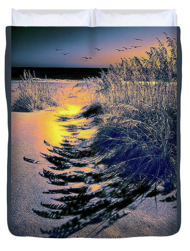 Beach Duvet Cover featuring the photograph Outer Banks Sea Oats Sunrise 725 by Dan Carmichael