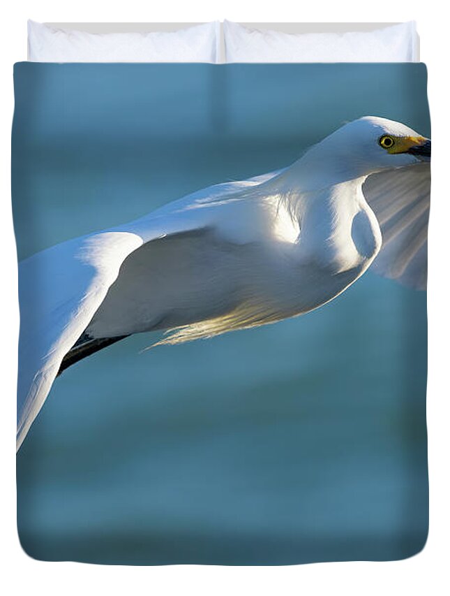 Snowy Egret Duvet Cover featuring the photograph Outstretched Glide by RD Allen