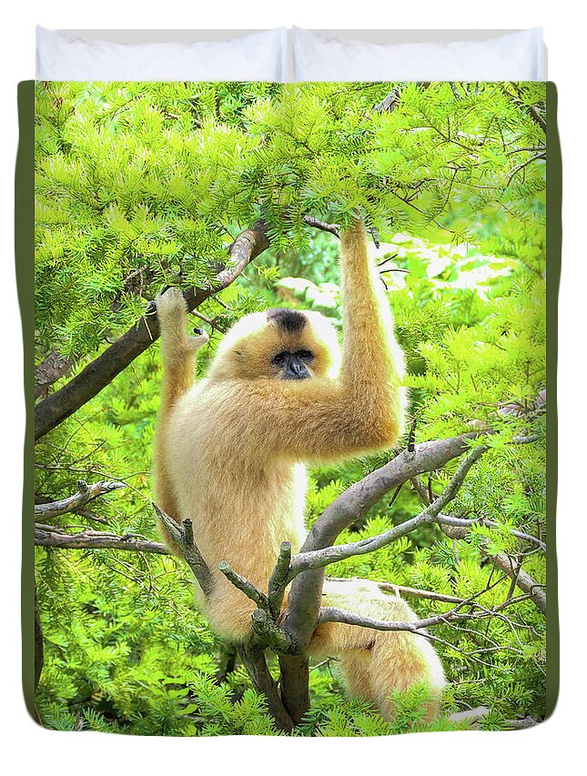 Gibbon Duvet Cover featuring the photograph Over the shoulder look by Bentley Davis
