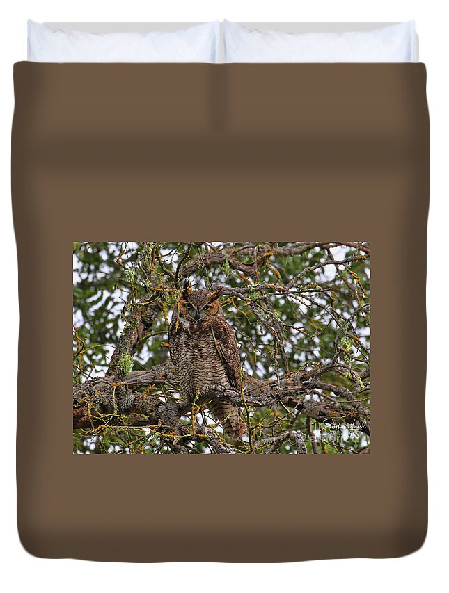 Owl Duvet Cover featuring the photograph Owl in Oak Tree by Stephanie Laird