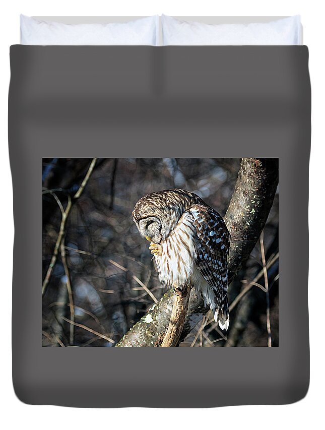Owl Duvet Cover featuring the photograph Owl Prayer by Jaki Miller
