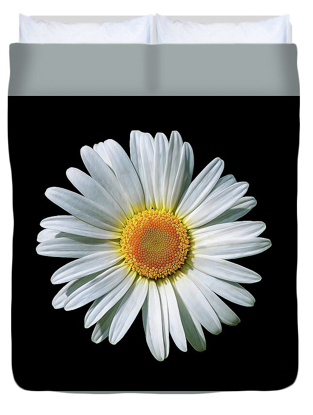 Daisy Duvet Cover featuring the photograph Oxeye Daisy on Black by Bill and Linda Tiepelman