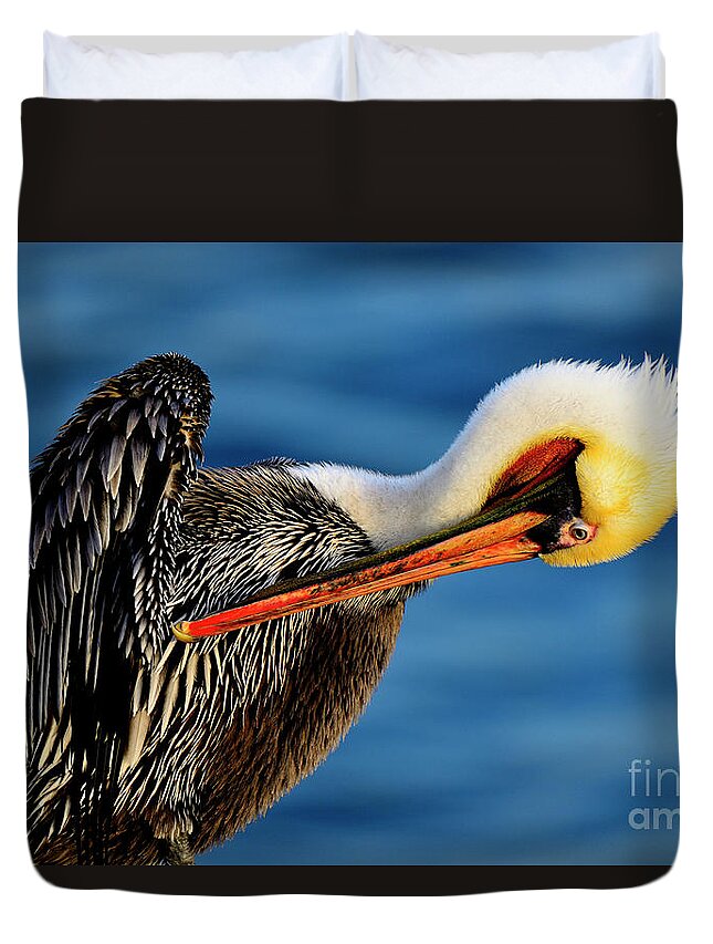 Birds Duvet Cover featuring the photograph Pacific Blue by John F Tsumas