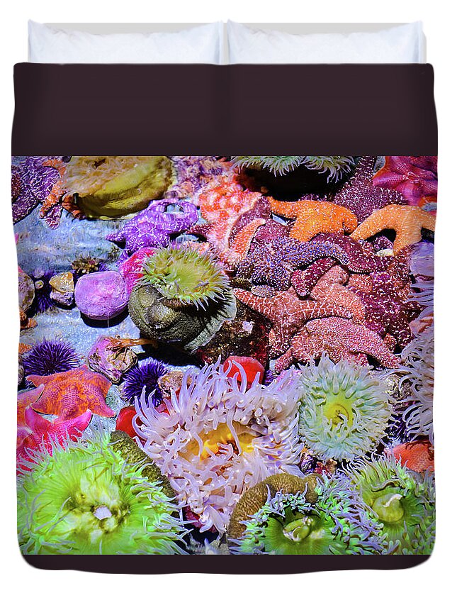 Pacific Ocean Duvet Cover featuring the photograph Pacific Ocean Reef by Kyle Hanson
