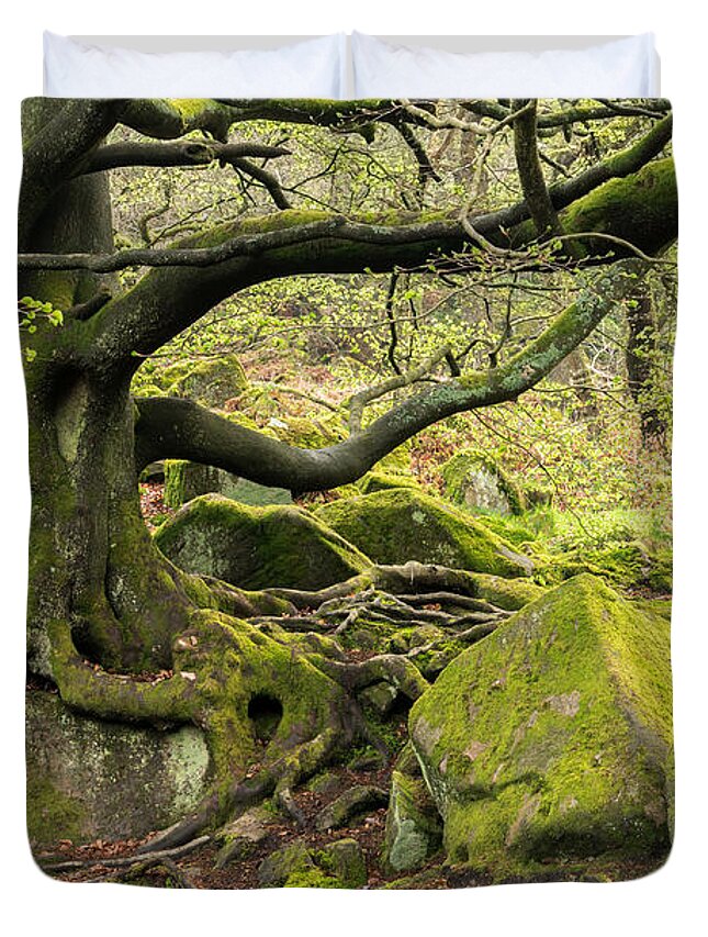 Peak District Duvet Cover featuring the photograph Padley Woods, The Peak District, England by Sarah Howard