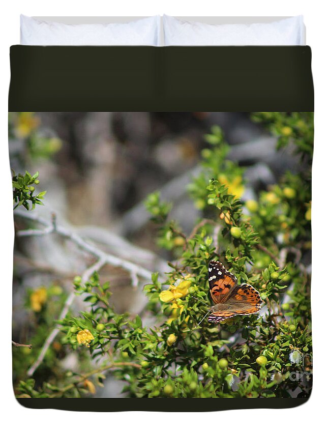 Painted Lady Duvet Cover featuring the photograph Painted Lady in Coachella Valley Wildlife Preserve by Colleen Cornelius
