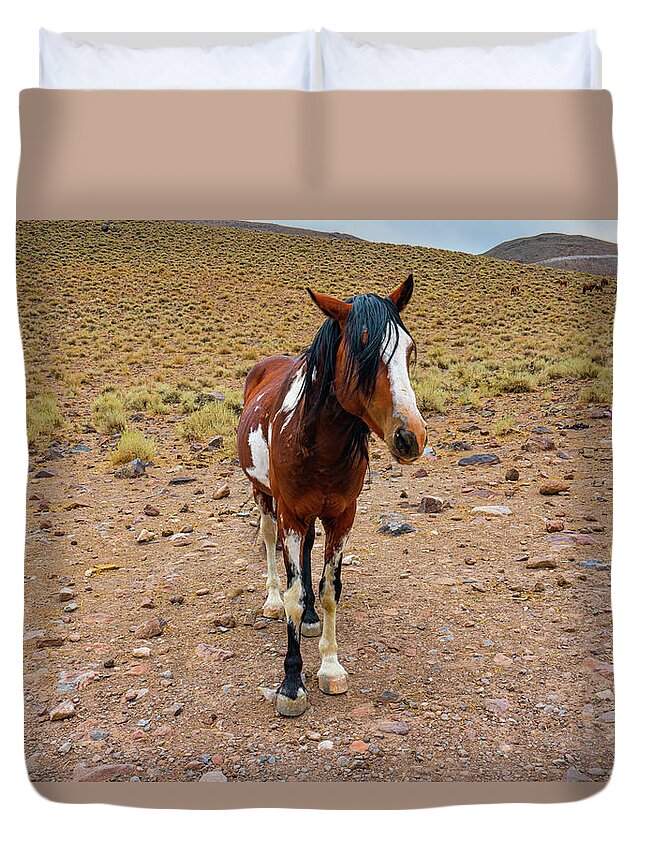 Horse Duvet Cover featuring the photograph Painted Nevada Mustang by Ron Long Ltd Photography