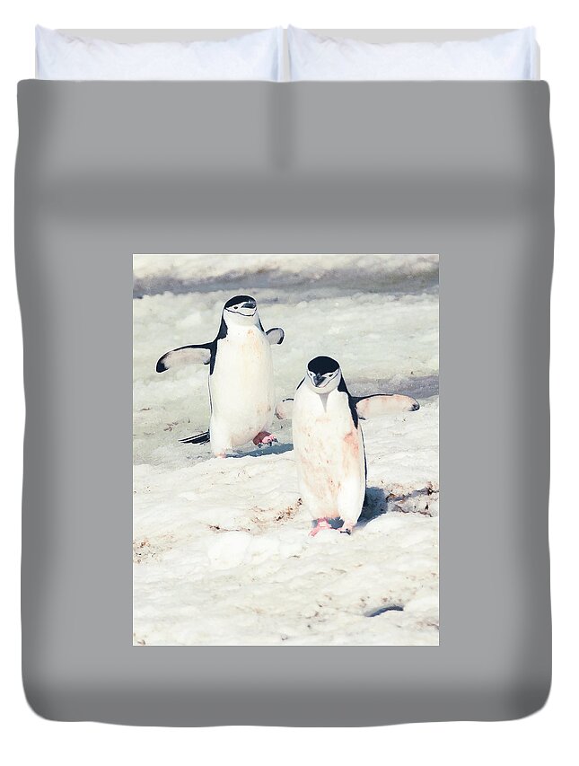 03feb20 Duvet Cover featuring the photograph Palaver Point Welcoming Party Pair by Jeff at JSJ Photography