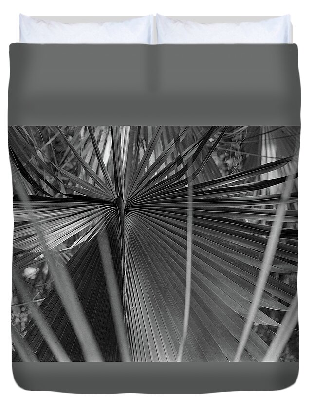 Palm Duvet Cover featuring the photograph Palm #6, 2007 by John Simmons