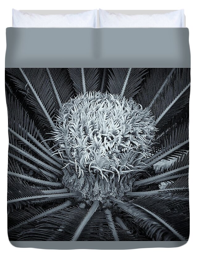 Waterloo House Duvet Cover featuring the photograph Palm Plant by Tom Singleton