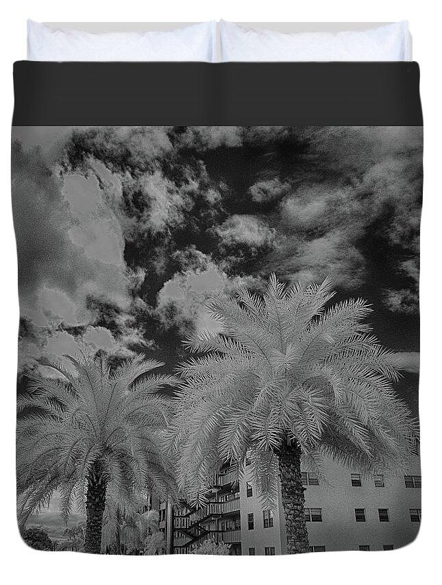 Black And White Duvet Cover featuring the photograph Palm Tree in infrared black and white by Alan Goldberg