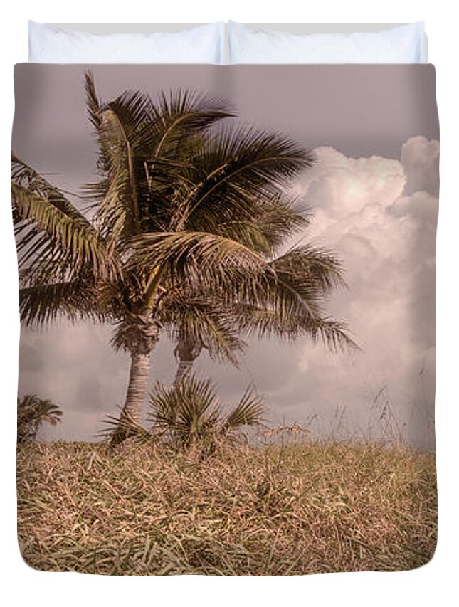 Panorama Duvet Cover featuring the photograph Palm Trees on the Cottage Sand Dunes by Debra and Dave Vanderlaan