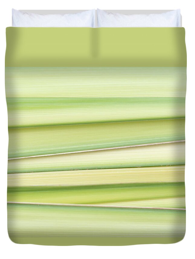Abstract Duvet Cover featuring the photograph Palms by Forest Floor Photography