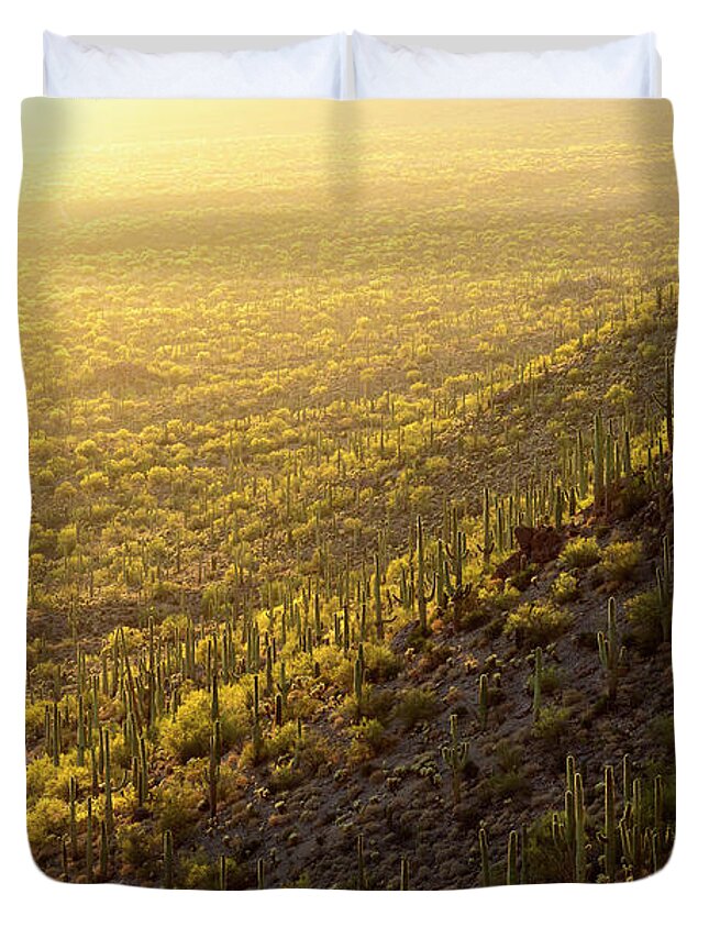 Arizona Duvet Cover featuring the photograph Palo Verde Gold by James Covello