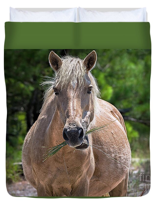 Horse Duvet Cover featuring the photograph Palomino horse by Rehna George