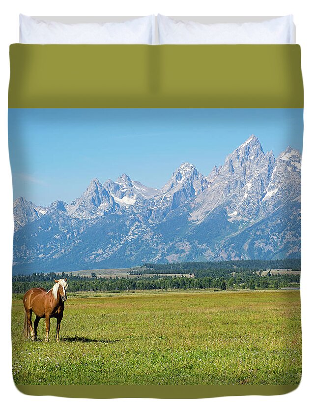 Grand Tetons Duvet Cover featuring the photograph Palomino in Grand Teton National Park by Bruce Gourley