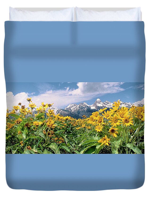 Dave Welling Duvet Cover featuring the photograph Panoramic Balsamroot Below The Teton Range by Dave Welling