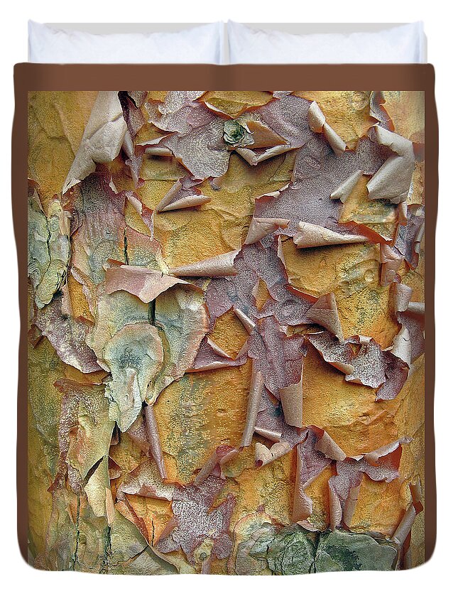 Tree Duvet Cover featuring the photograph Paperbark Maple Tree by Jessica Jenney