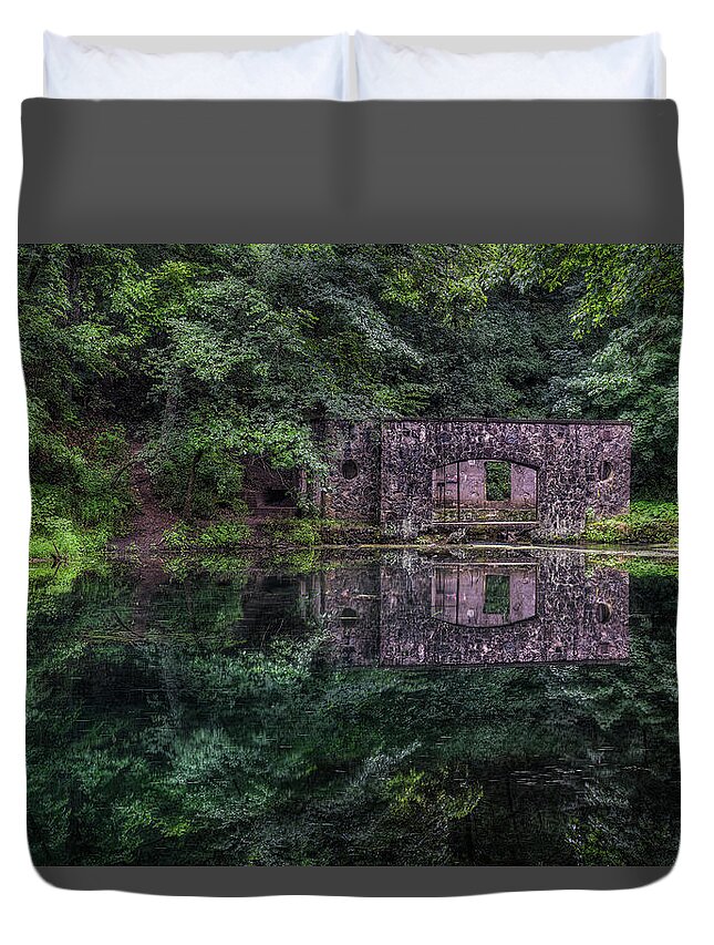 Paradise Springs Duvet Cover featuring the photograph Paradise Reflections by Brad Bellisle