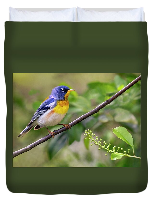Bird Duvet Cover featuring the photograph Parula Perch by Art Cole