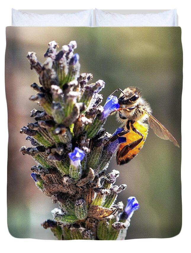 Bee Duvet Cover featuring the photograph Passing The Whiff Test by Joe Schofield