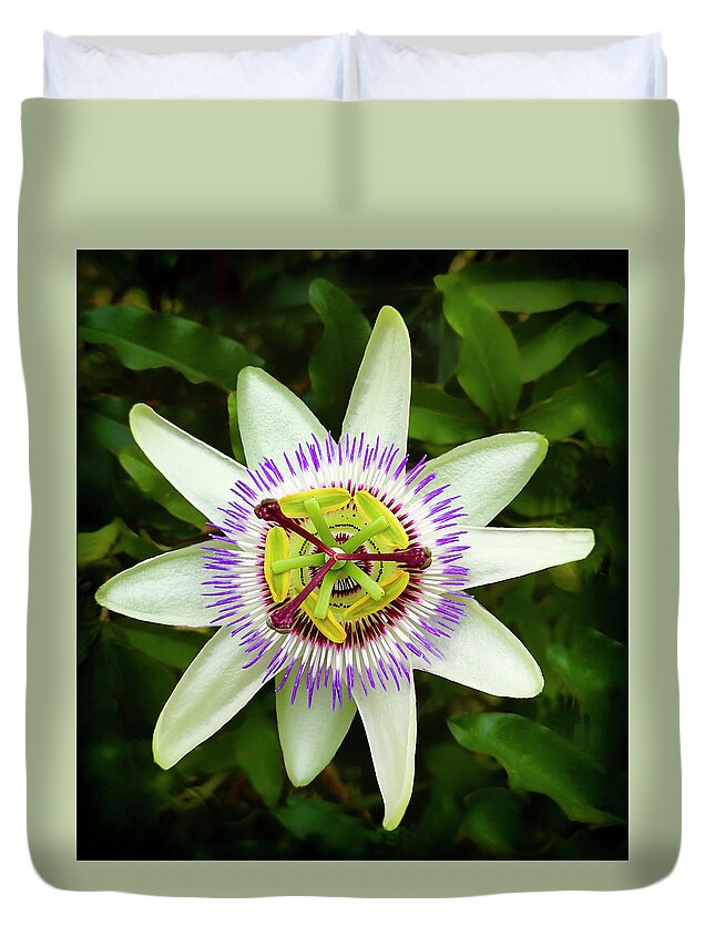 Andalucia Andalusia Applied Art Attraction Beautiful Beauty Biology Blossom Climbing Plant Color Colorful Colour Colourful Colours Countryside Rural Culture Design Elegant Europe Exquisite Flora Flower Heads Lovely Malaga Province Natural History Natural Phenomena Nature Overseas Passiflora Caerulea Passion Flower Perception Plant Parts Pretty Seasons Sepal Spain Spanish EspaÑa EspaÑol Spring Time Duvet Cover featuring the photograph Passion Flower, Passiflora Caerulea, flowering in Spain is a species of flowering plant by Panoramic Images
