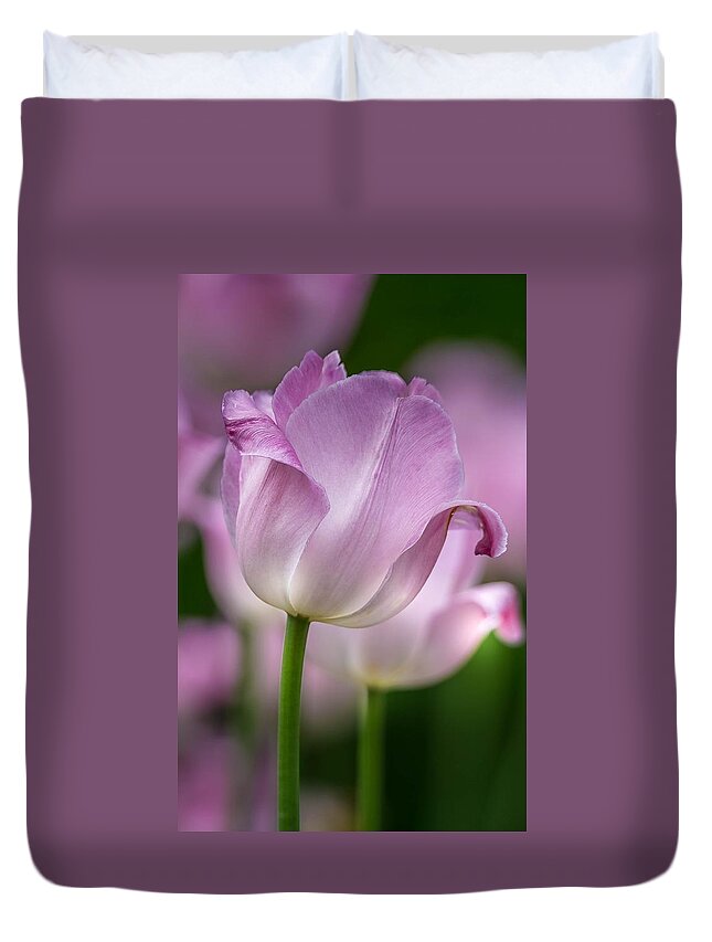 Tulip Duvet Cover featuring the photograph Passion by Susan Rydberg