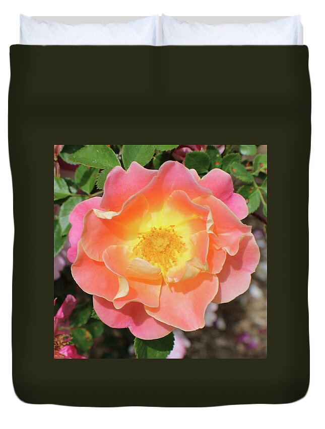 Pastel Duvet Cover featuring the photograph Pastel Sunset Rose by Kathy Pope
