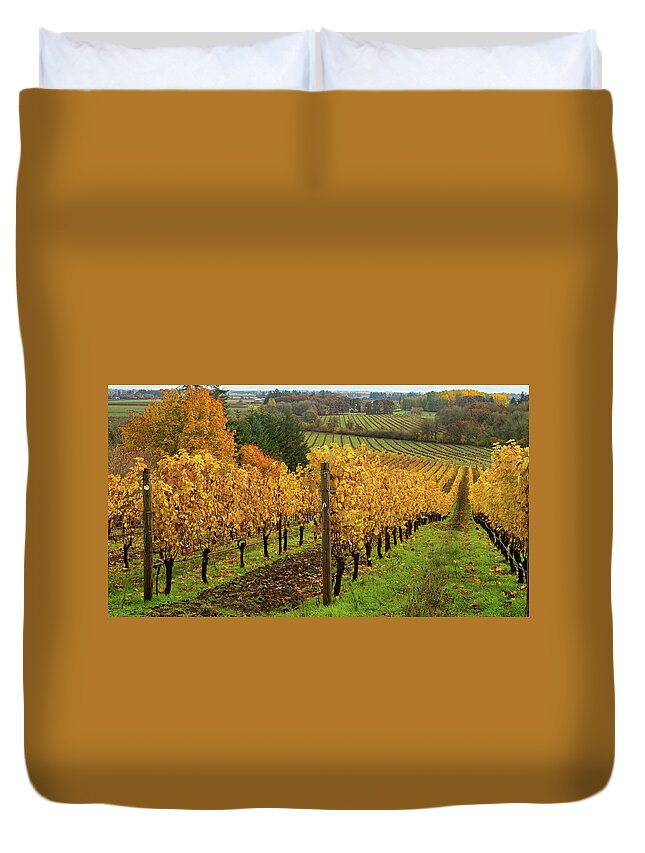 Vineyard Duvet Cover featuring the photograph Patterns of Fall in the Vineyard by Leslie Struxness