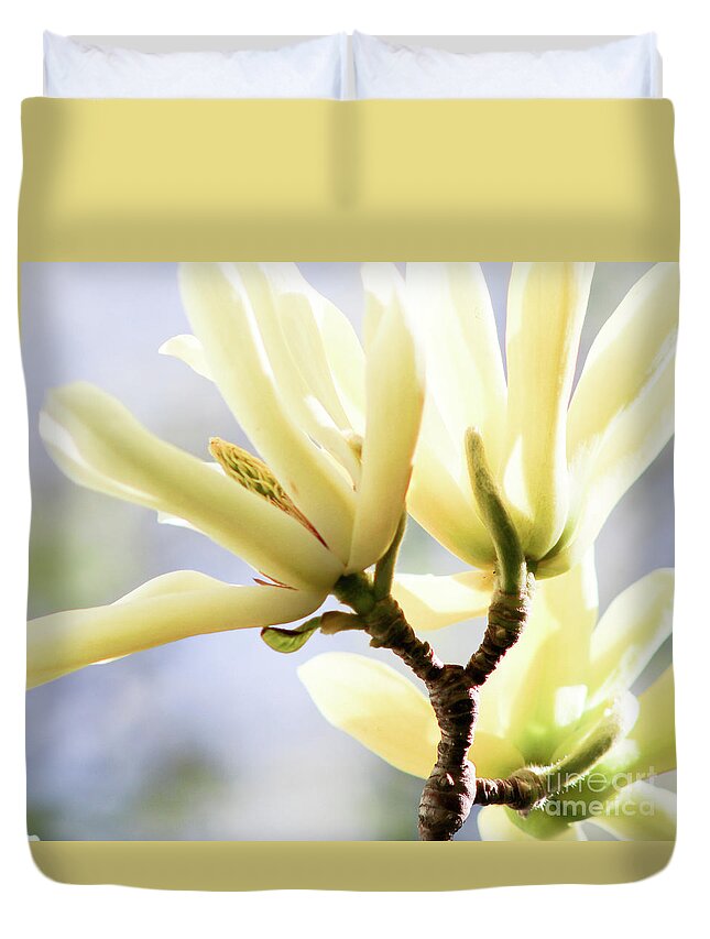 Nature Duvet Cover featuring the photograph Peace by Ash Nirale