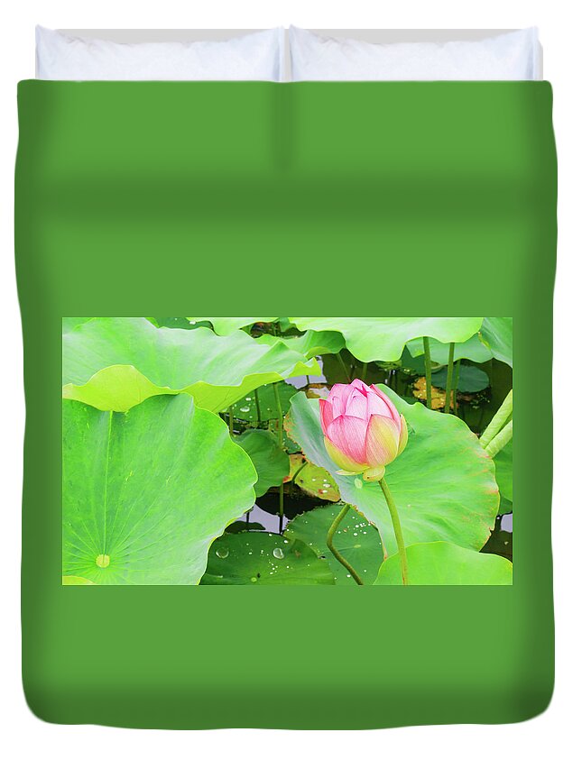 Garden Duvet Cover featuring the photograph Peaceful Pink Water Lily by Auden Johnson