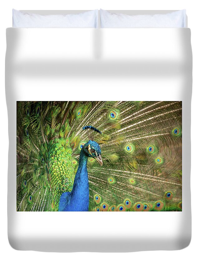 Peacock Duvet Cover featuring the photograph Peacock 4 by Cindy Robinson