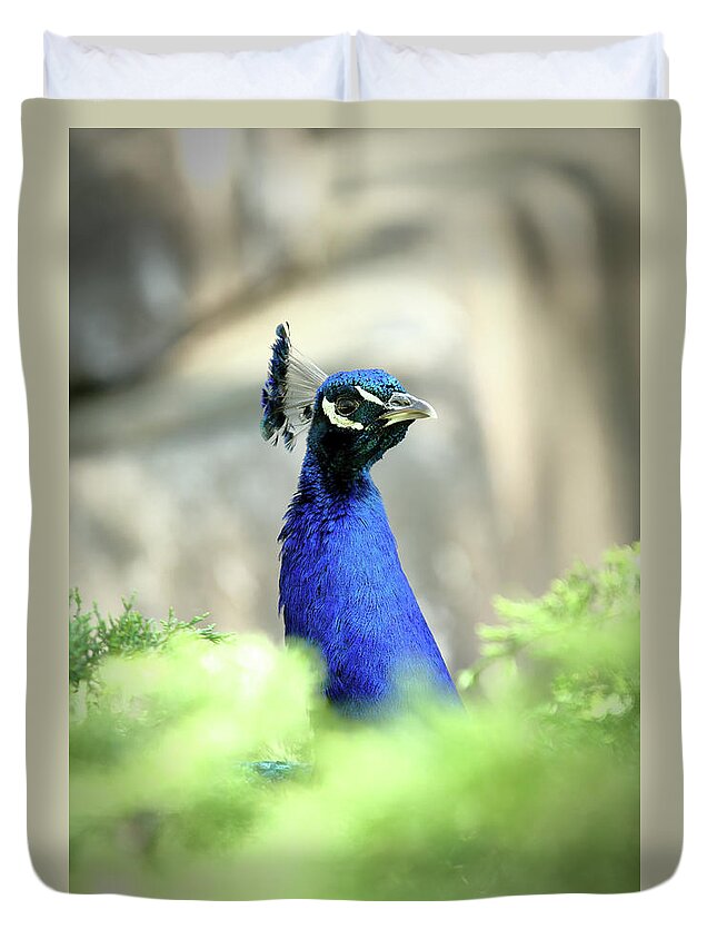 Bird Duvet Cover featuring the photograph Peacock-A-Boo by Lens Art Photography By Larry Trager