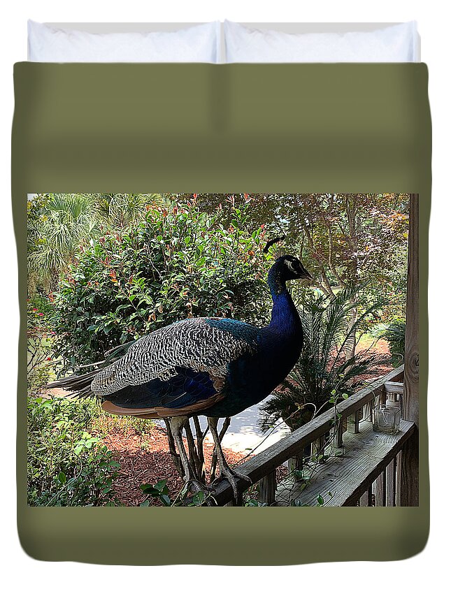 Nc Duvet Cover featuring the photograph Peacock Hostess by Lee Darnell