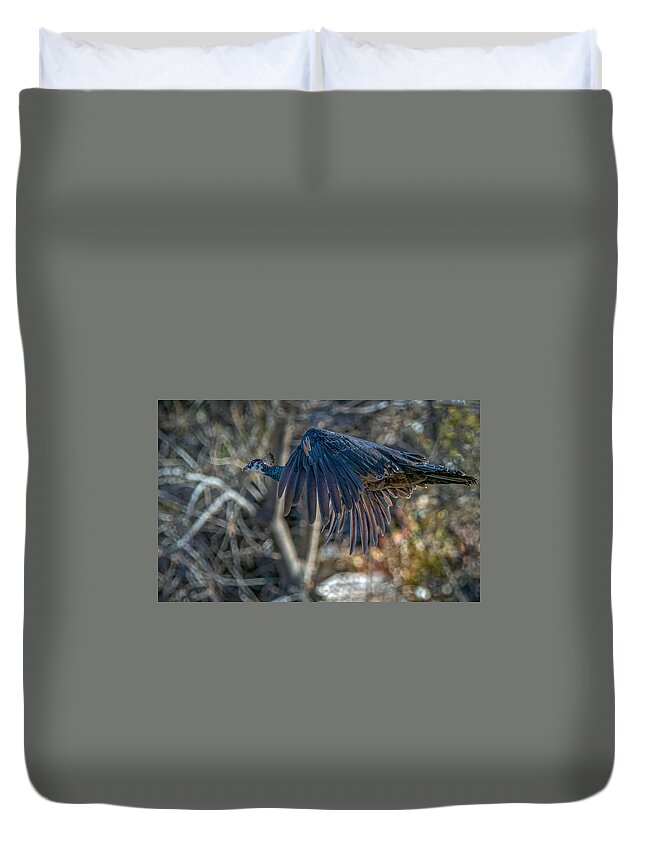 Peacock Duvet Cover featuring the photograph Peacock in flight by Rick Mosher