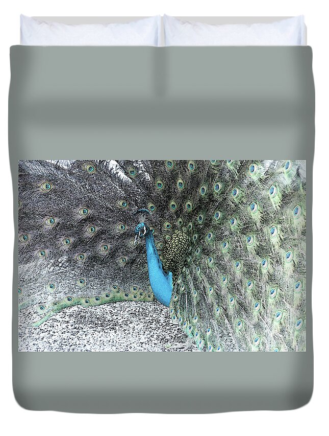 Peacock Duvet Cover featuring the photograph Peacock with Selective Color by James C Richardson