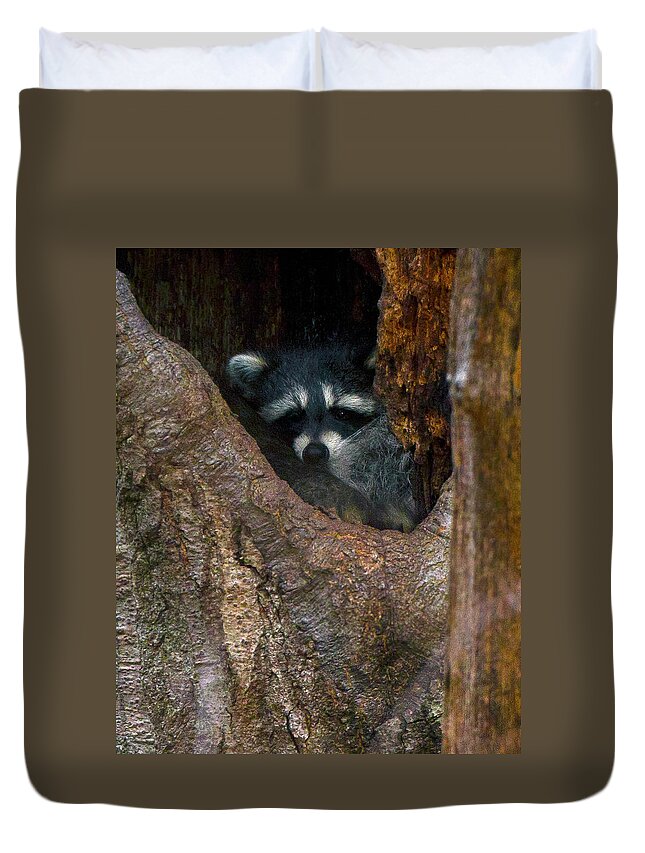 Wildlife Photography Duvet Cover featuring the photograph Peek a Boo by Timothy McIntyre
