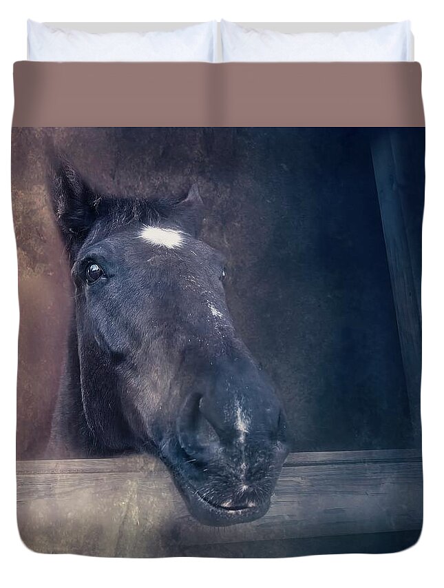 Horse Duvet Cover featuring the photograph Peeking Out by Marjorie Whitley